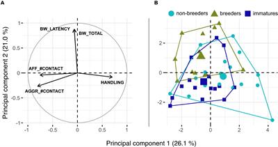 Self-Domestication Underground? Testing for Social and Morphological Correlates of Animal Personality in Cooperatively-Breeding Ansell’s Mole-Rats (Fukomys anselli)